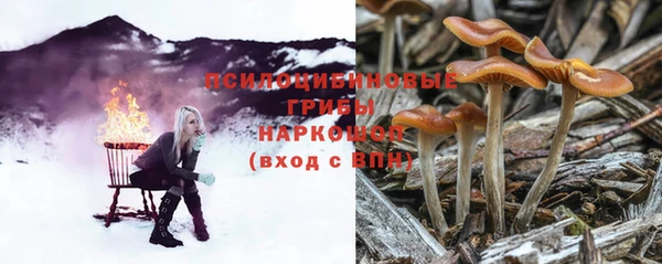 спиды Белокуриха